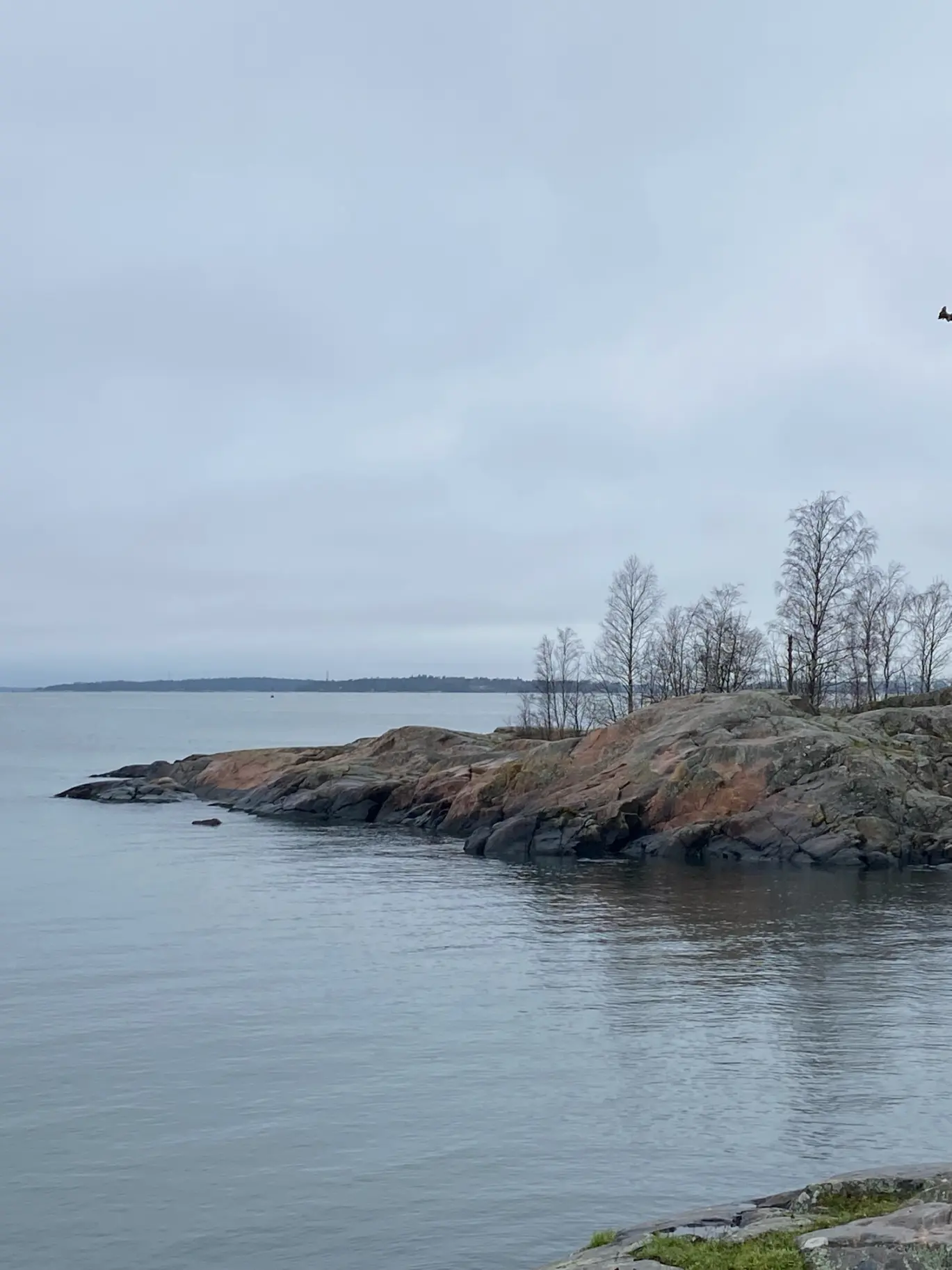 Atelier du bien être - Réflexologie, une alliée quand vient l'hiver
